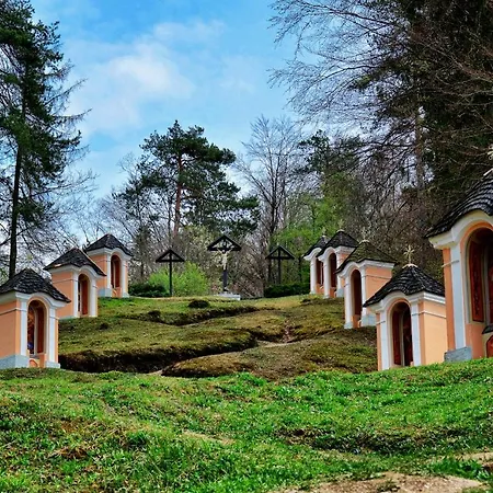 Hotel Baron Smlednik