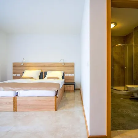 Hotel Baron Smlednik