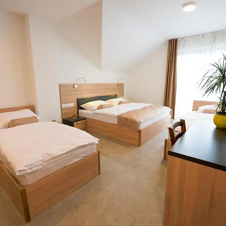 Hotel Baron Smlednik