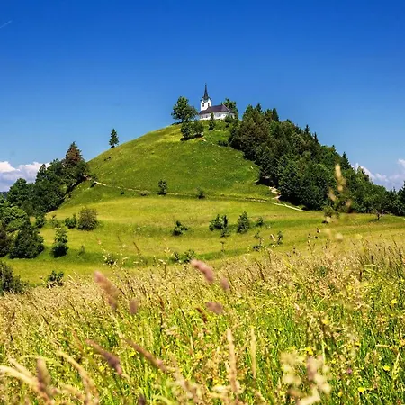 Hotel Baron Smlednik