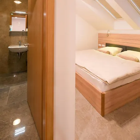 Hotel Baron Smlednik