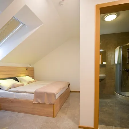 Baron Hotel Smlednik