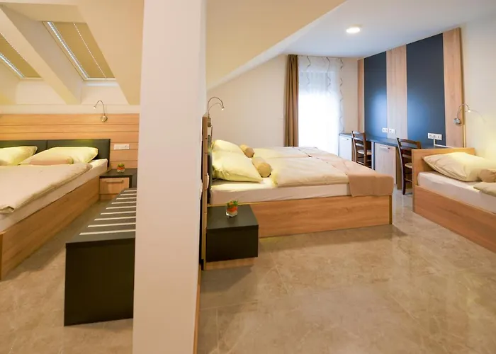 Baron Hotel Smlednik