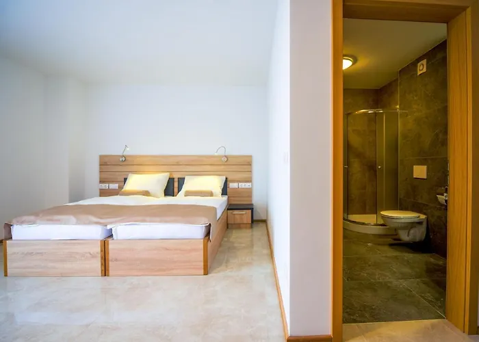 Hotel Baron Smlednik