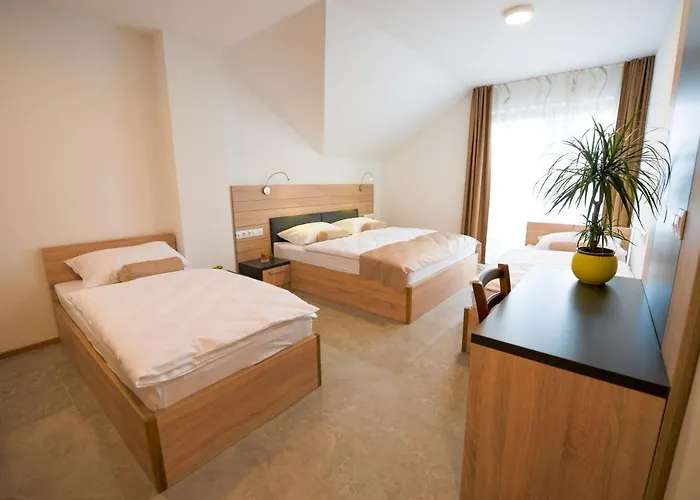 Hotel Baron Smlednik