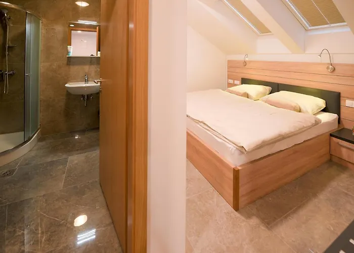 Hotel Baron Smlednik