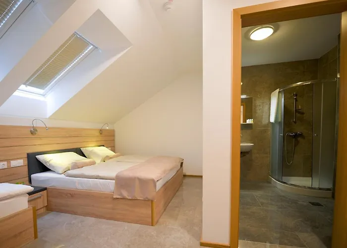 Baron Hotel Smlednik